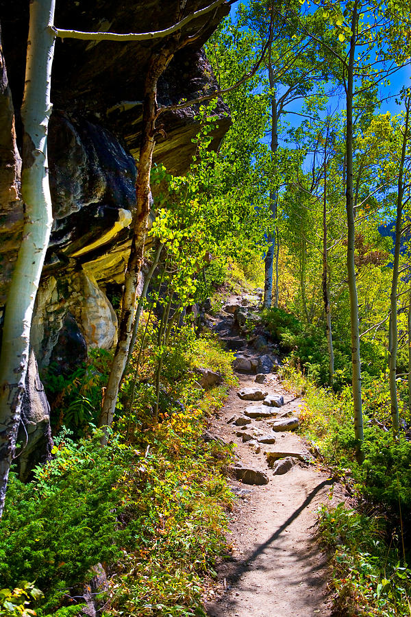 Nature Photograph - Mountain Trail by James O Thompson