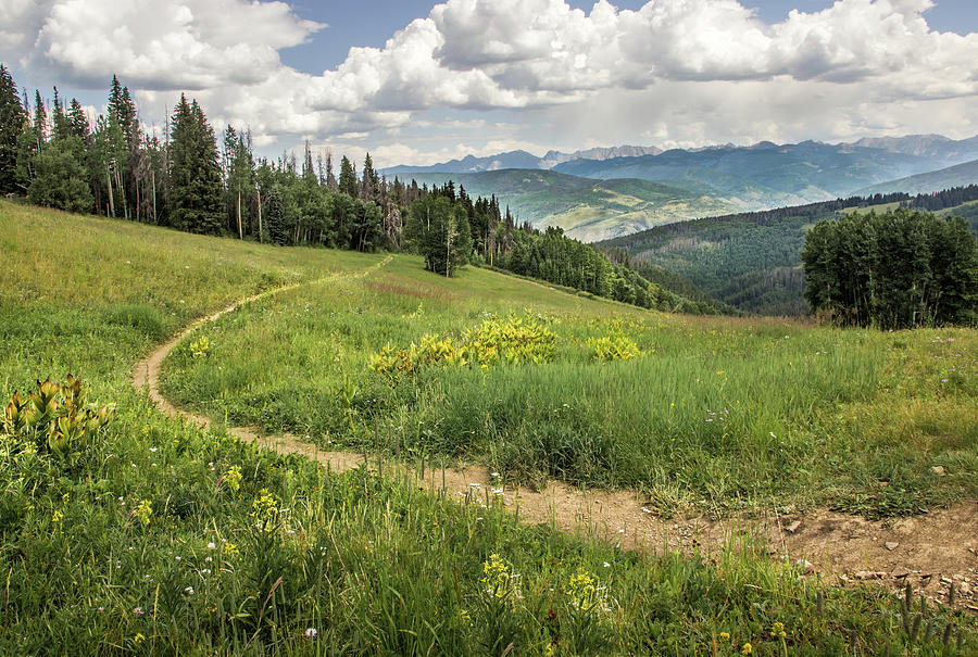 Mountain Trail Photograph