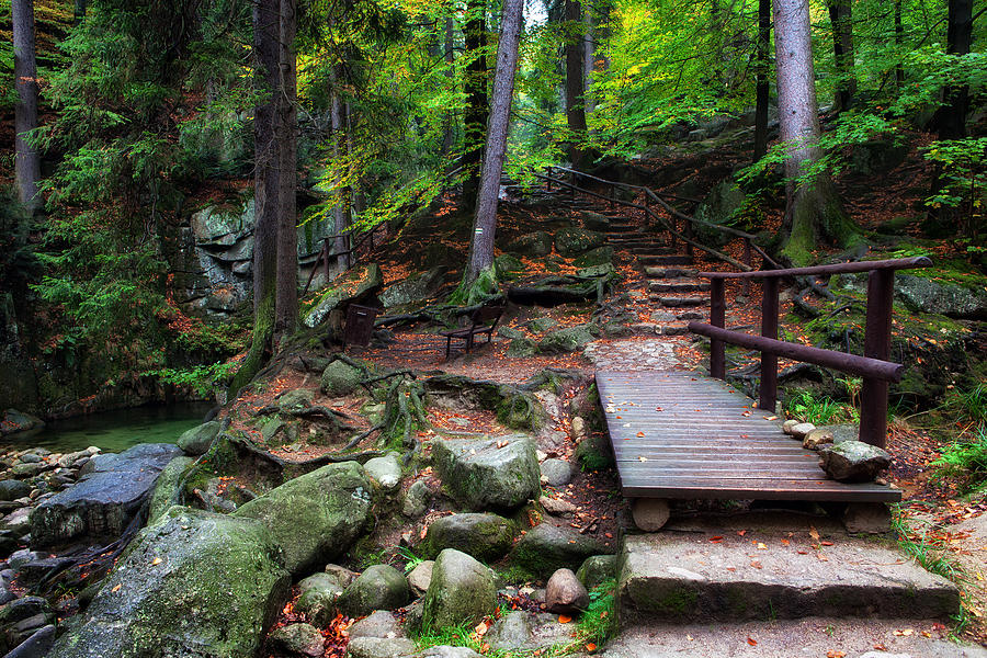 Mountain Trail with Staircase in Autumn Forest Photograph by Artur Bogacki