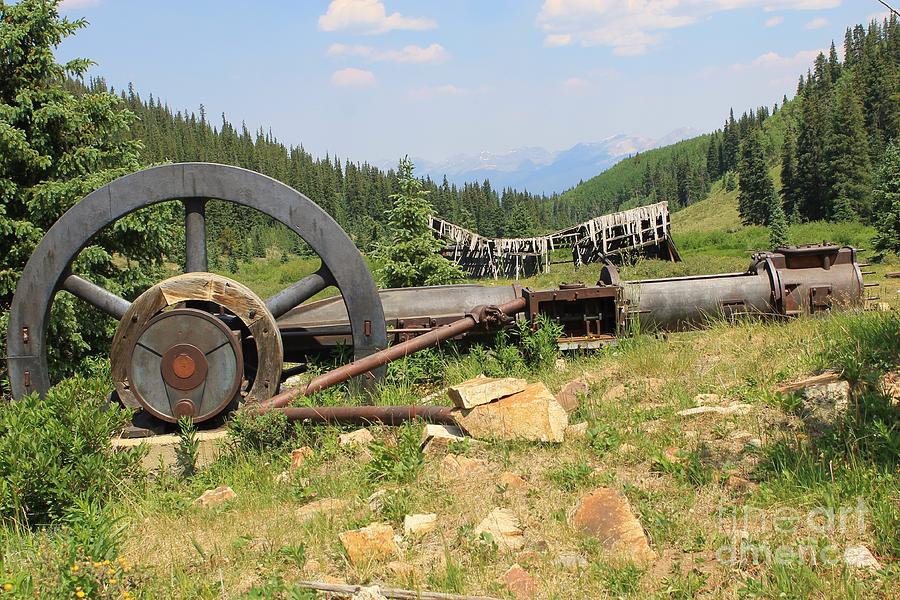 Mountain Treasures 2 Photograph by Tonya Hance - Fine Art America