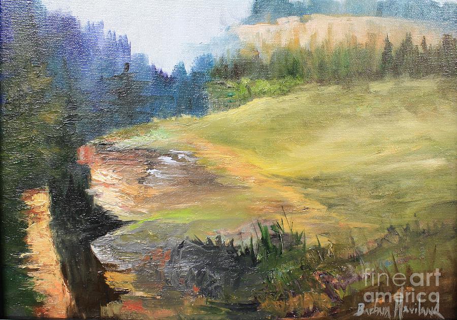Mountain View  Painting by Barbara Haviland