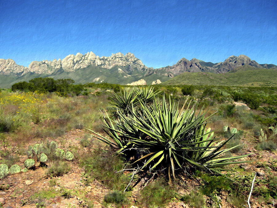 Mountain Photograph - Mountain View Las Cruces by Kurt Van Wagner