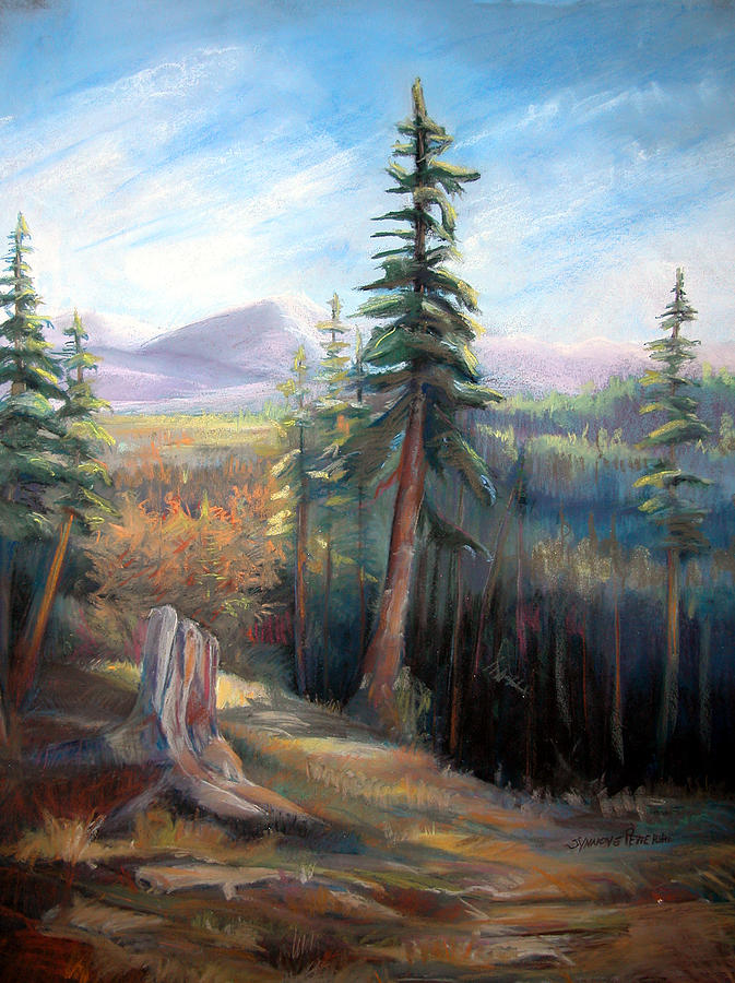 Mountain View Painting by Synnove Pettersen