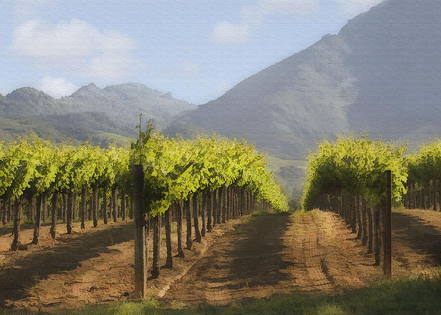 Mountain Vineyard Digital Art by Sharon Foster