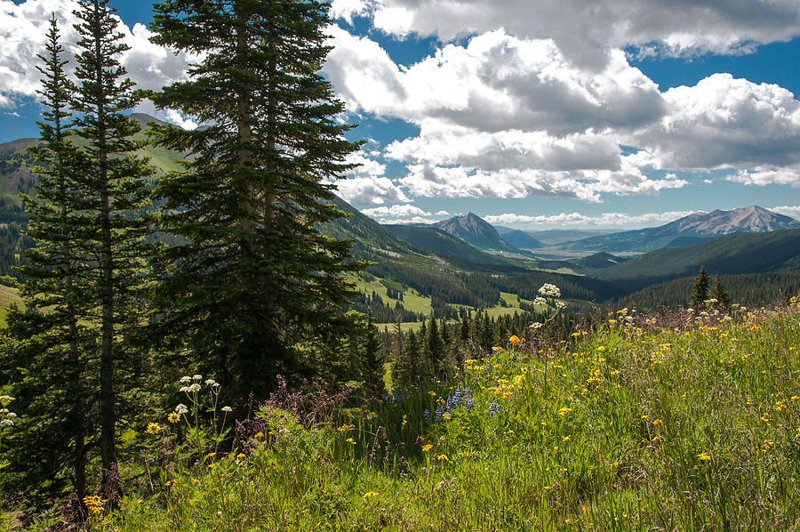 Mountain Vista Photograph by John Bartelt