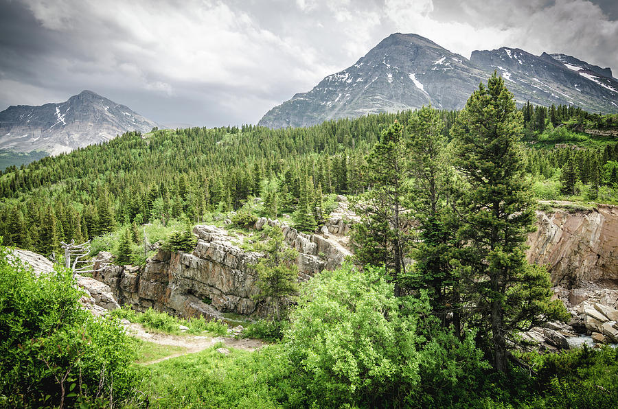 Glacier National Park Photograph - Mountain Vistas by Margaret Pitcher