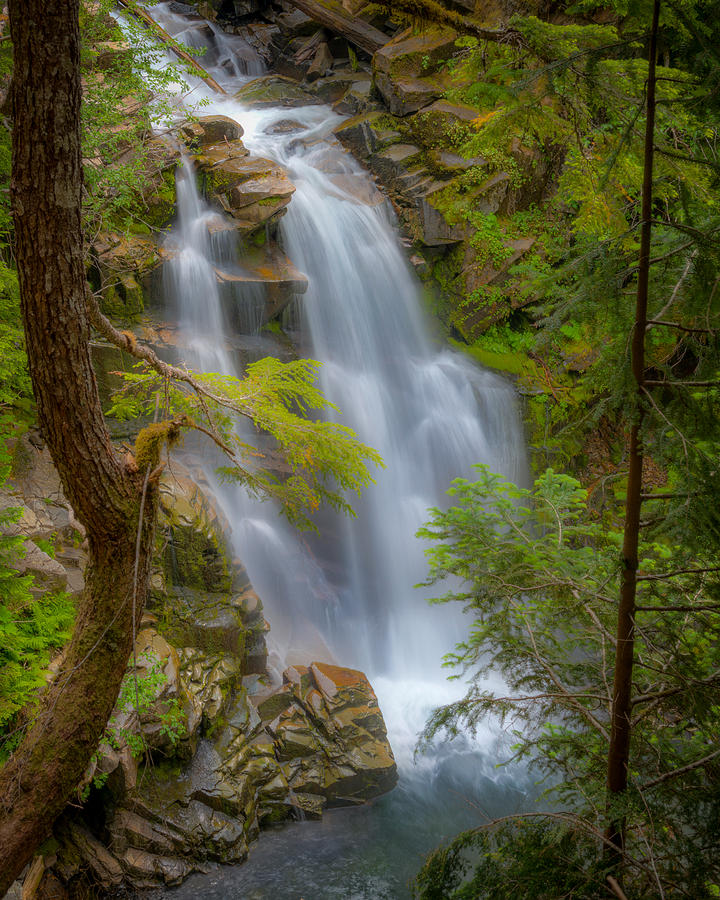 Waterfall Photograph - Mountain Waterfall 5613 by Chris McKenna