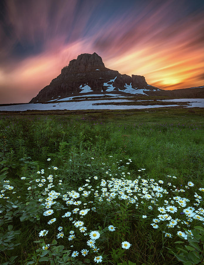 Mountain With Wildflowers And Sunset Clouds Photograph