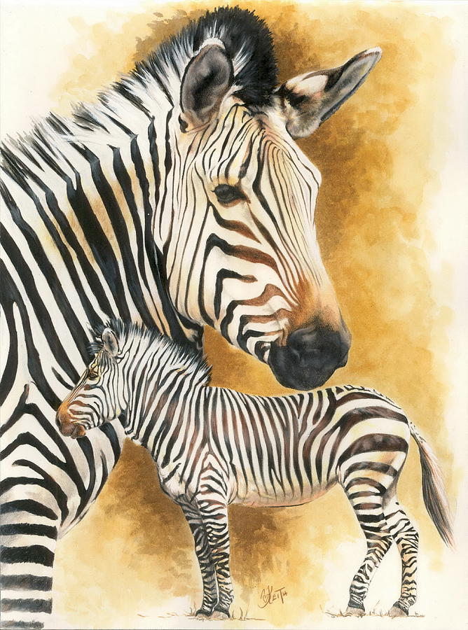 Nature Mixed Media - Mountain Zebra by Barbara Keith