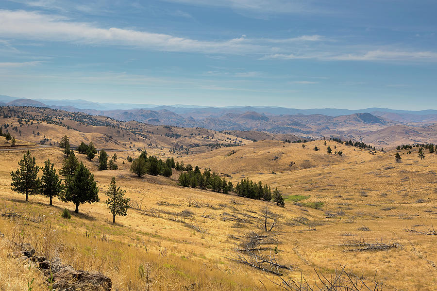 Mountainous Terrain in Central Oregon Photograph by David Gn