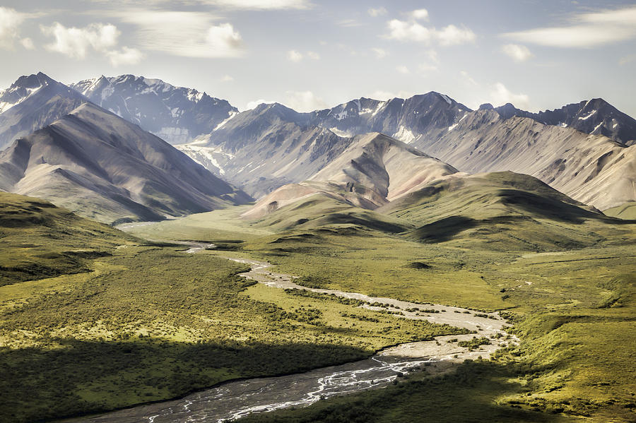 Mountains in Denali National Park Photograph by Phyllis Taylor
