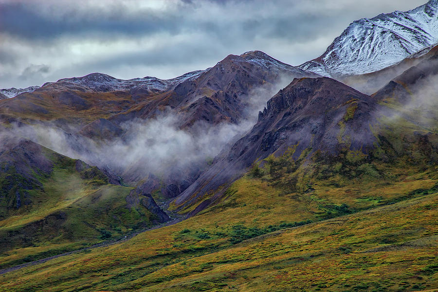 Denali National Park Photograph - Mountains In The Mist by Rick Berk