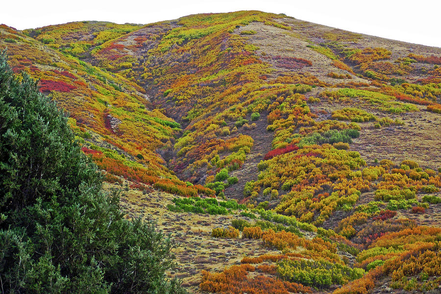 Mountains of Vibrant Color in Echo Canyon near I 80, Utah Photograph by Ruth Hager