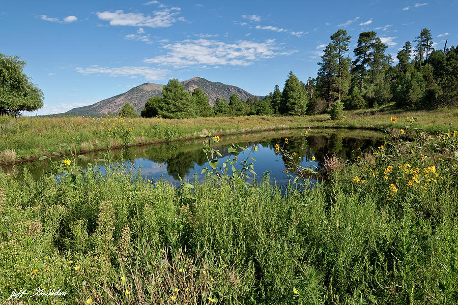 Mountains Reflected in a Pond Photograph by Jeff Goulden