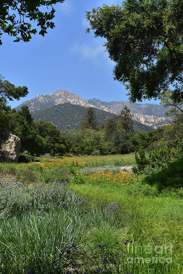 Mountains Standing Behind a Lush Beautiful Meadow Photograph by DejaVu