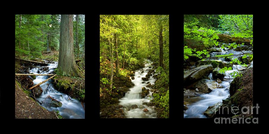 Mountains Streams Trio Photograph by Idaho Scenic Images Linda Lantzy