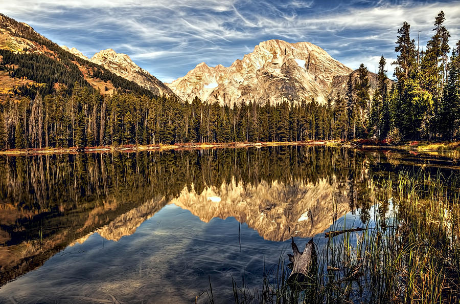 Mountains and Trees and Water Photograph by Maria Coulson