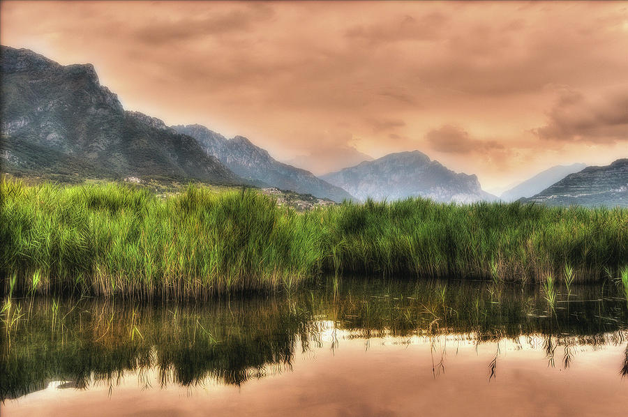 Mountainscape with canebrake Photograph by Roberto Pagani