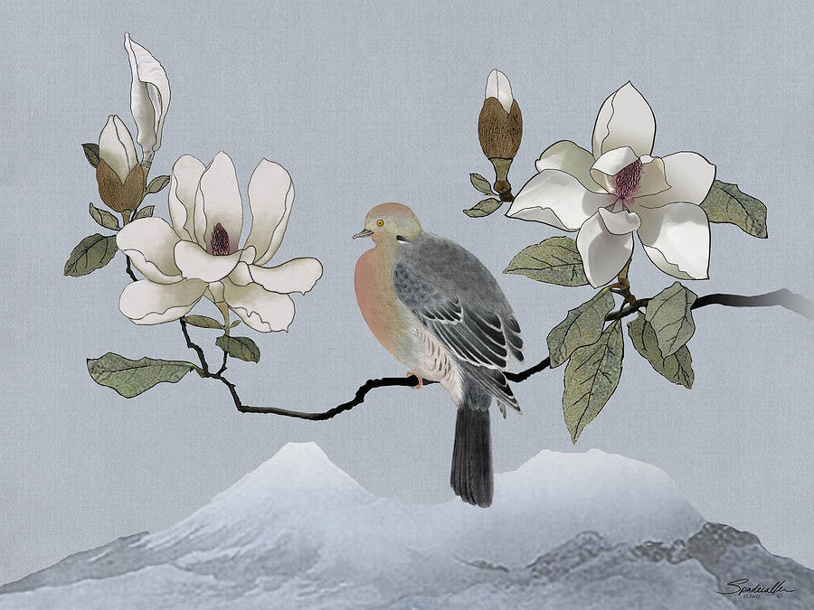 Mourning Dove And Magnolia Digital Art by M Spadecaller