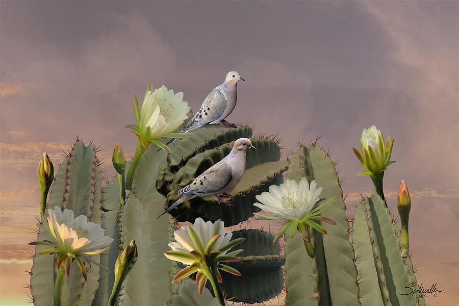 Mourning Doves on Flowering Cactus Digital Art by M Spadecaller