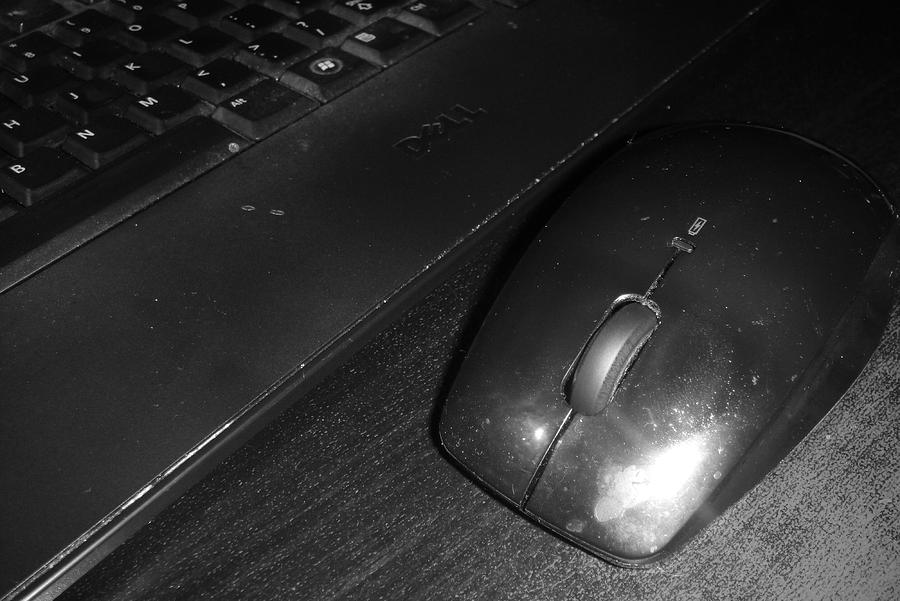 Mouse n Keyboard Photograph by WaLdEmAr BoRrErO