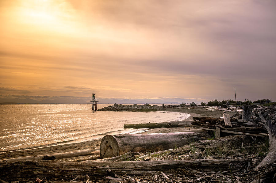 Richmond Photograph - Mouth of the Fraser by Joy Gerow