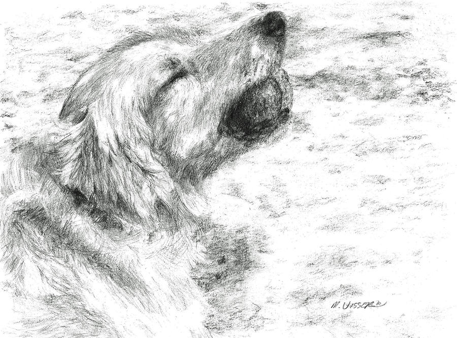 Mouthful of ball Drawing by Meagan  Visser