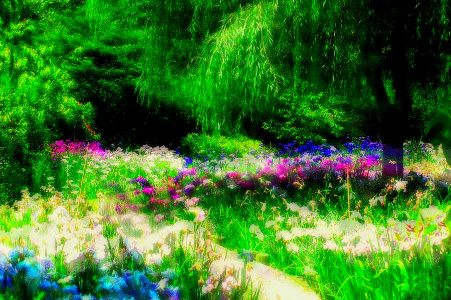 Monet Inspired Photograph by Diana Angstadt