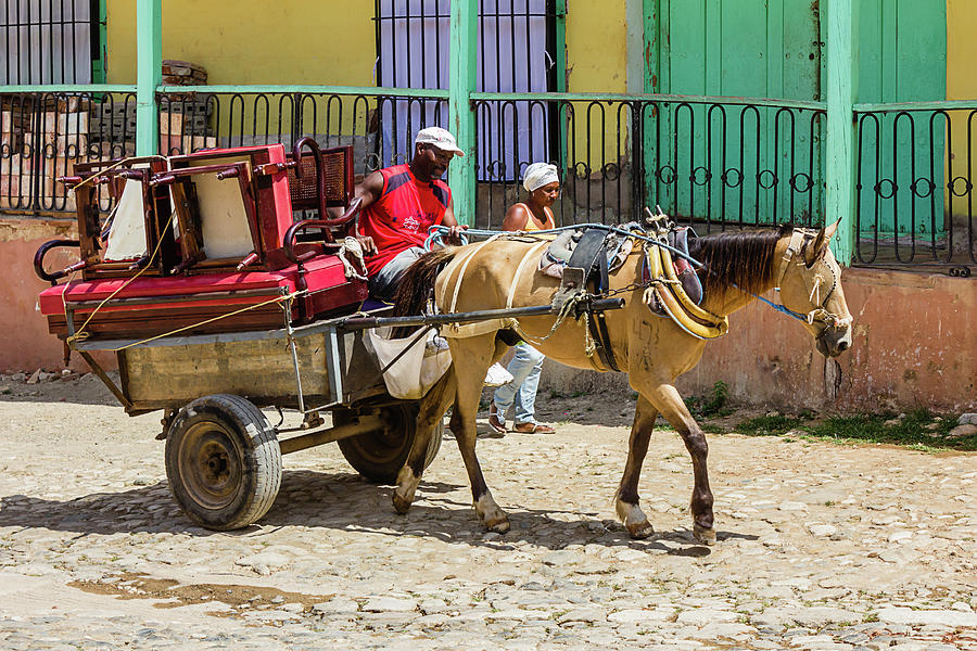 Moving Day in Trinidad Photograph by Dawn Currie