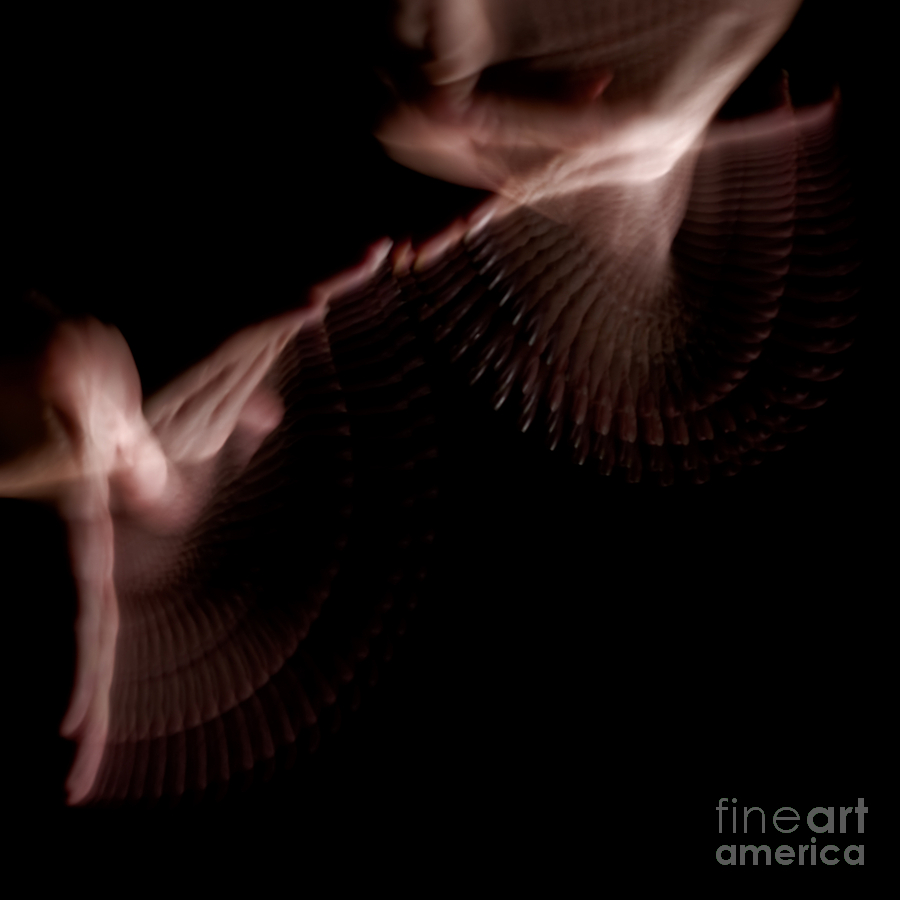 Moving Hands A070533 Photograph by Rolf Bertram - Fine Art America