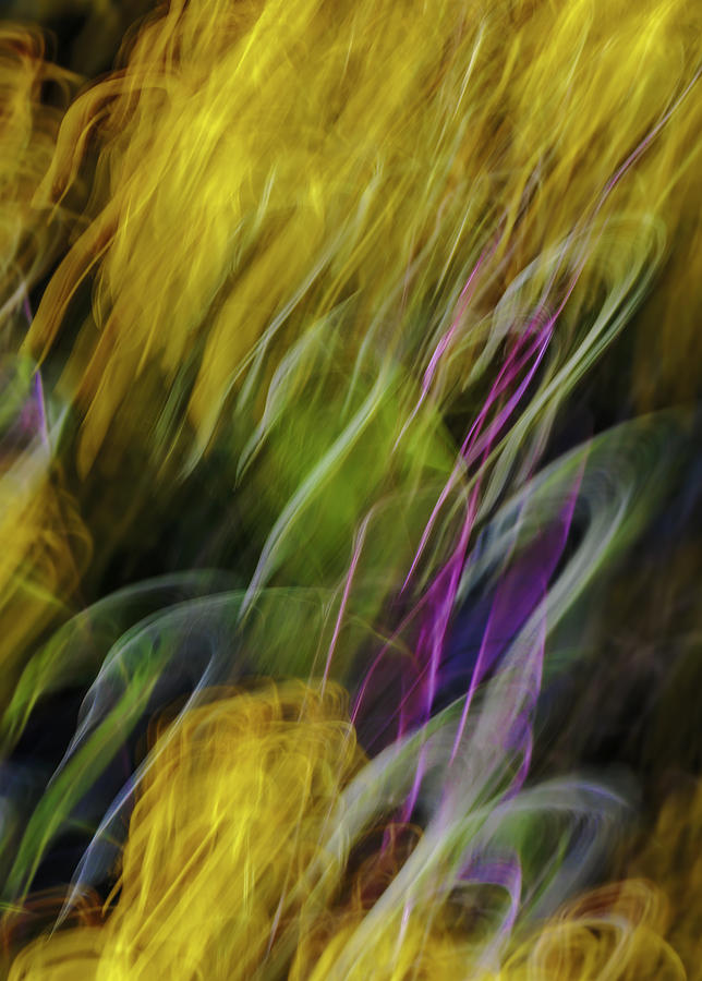 Nature Photograph - Moving Leaves by Mah FineArt