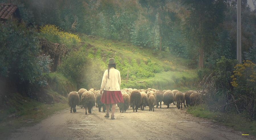 Moving To Greener Pastures Ankawasi Peru Photograph by Anastasia Savage Ealy