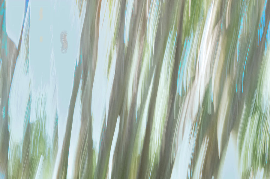 Moving Trees 16 Carry-on Landscape Format by Gene Norris Moving Trees 16 Carry-on Landscape Format by Gene Norris
