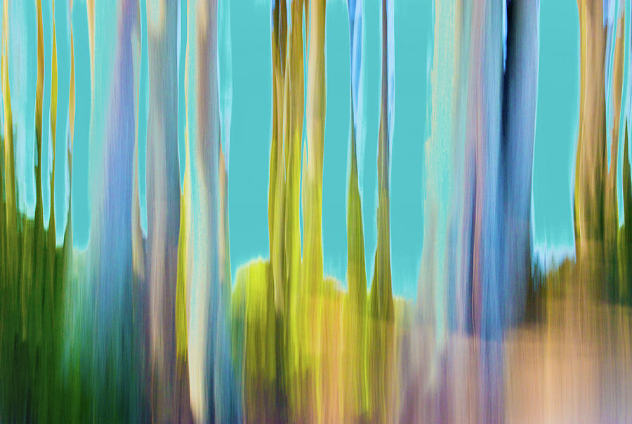 Moving Trees 20 Carry-on Landscape Format by Gene Norris Moving Trees 20 Carry-on Landscape Format by Gene Norris