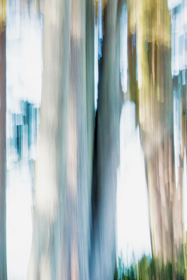 Moving Trees 21 Carry-on Portrait Format by Gene Norris Moving Trees 21 Carry-on Portrait Format by Gene Norris