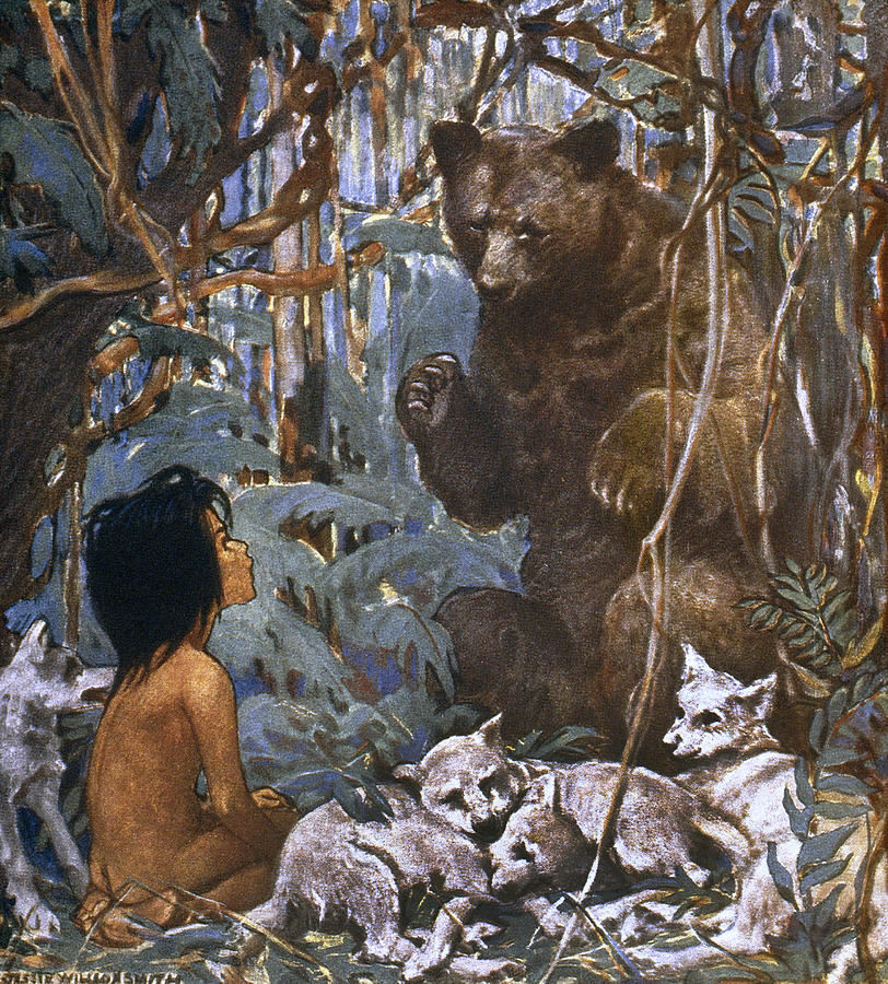 Mowgli And Baloo Drawing by Granger