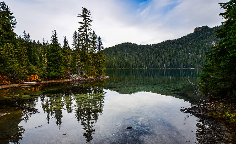 Mowich Lake Road Visit Rainier, 57% OFF