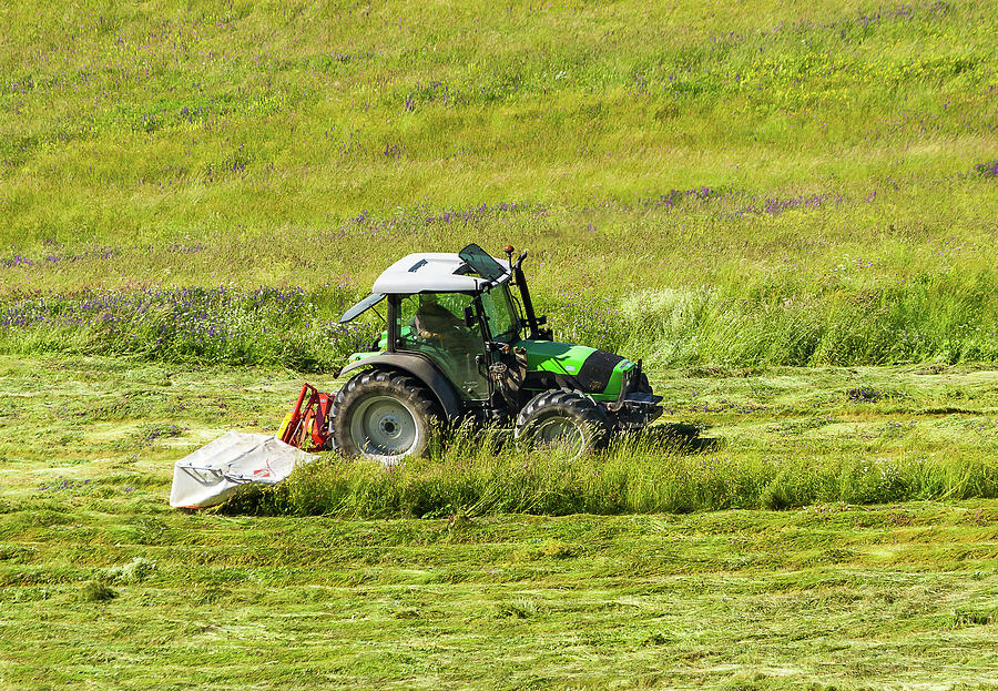 Mowing hay - 3 Photograph by Paul MAURICE