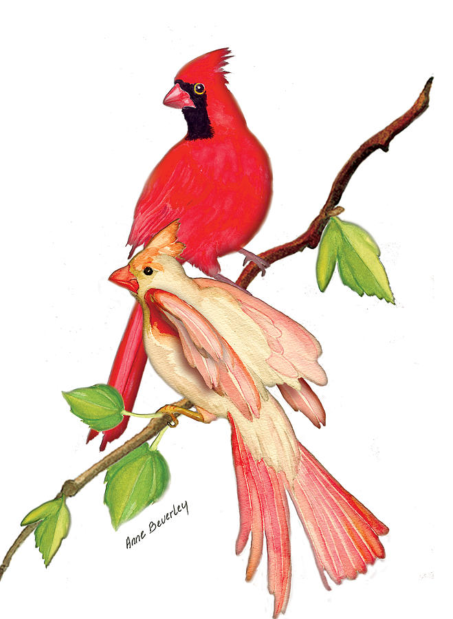 Mr. and Mrs. Cardinal Painting by Anne Beverley-Stamps