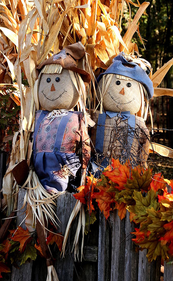 Mr. and Mrs. Scarecrow Photograph by Sheila Brown