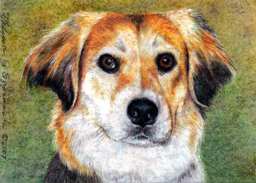 Dog Drawing - Mr Bojangles by Melissa J Szymanski