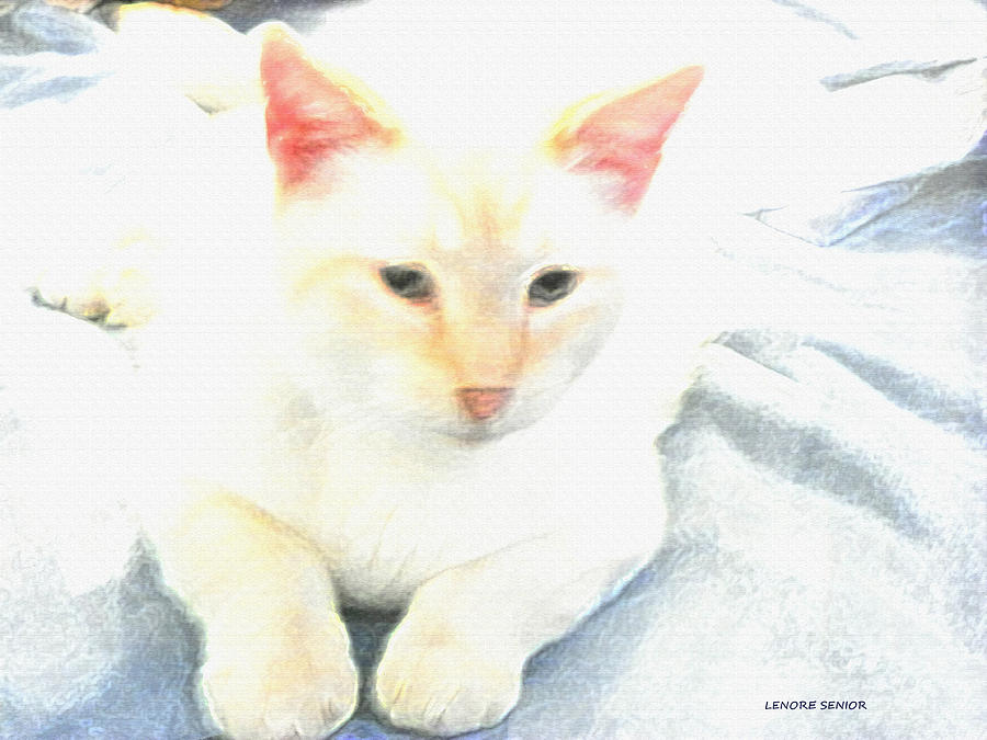 Mr. Cat Mixed Media by Lenore Senior