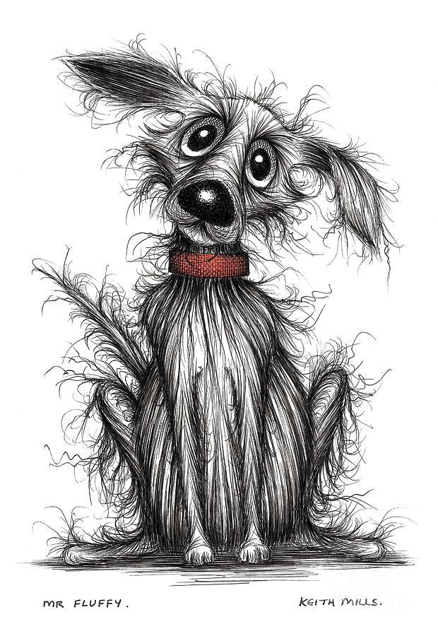 Mr Fluffy Drawing by Keith Mills