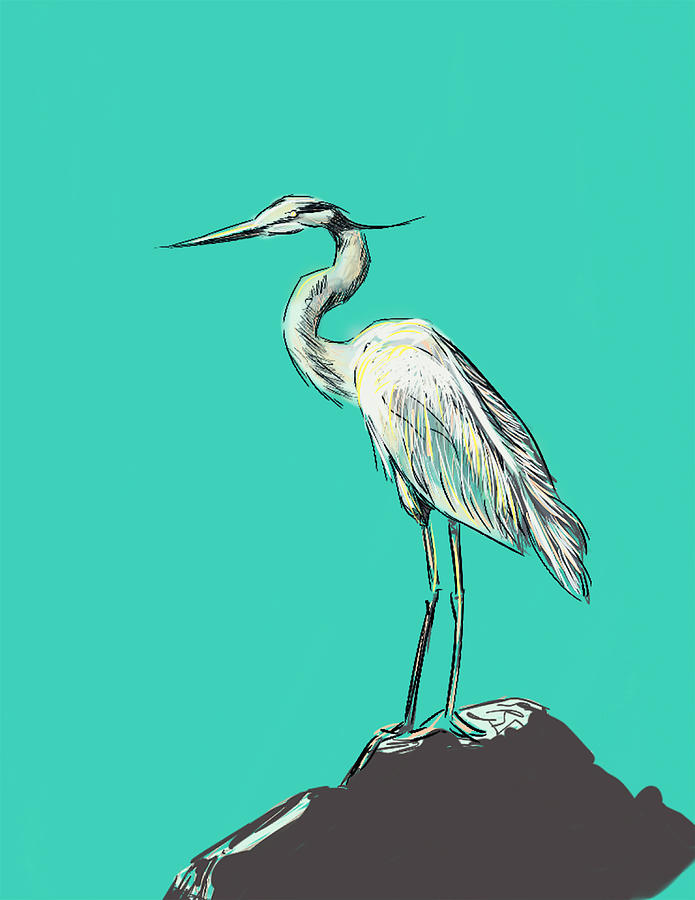 Heron Digital Art - Mr. Grey on Aquamarine by Thomas Hamm