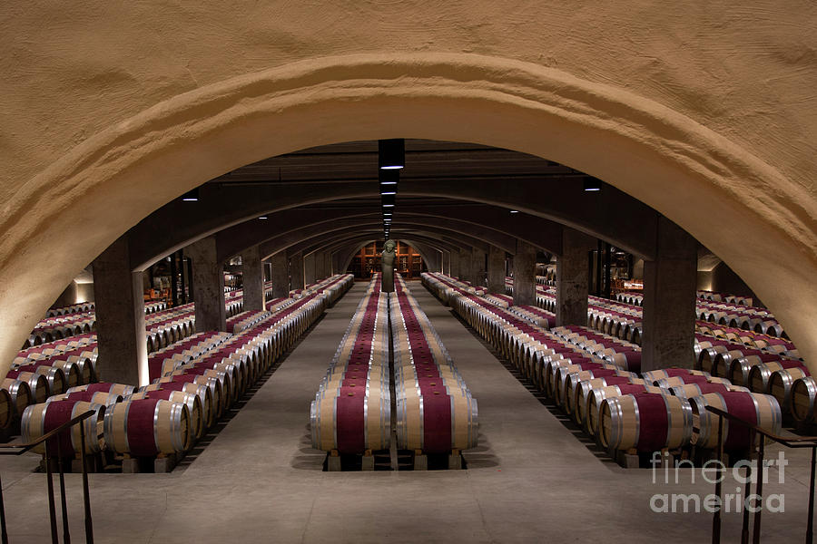 Mr Mondavi's Stash of Cabernets by Shishir Sathe Mr Mondavi's Stash of Cabernets by Shishir Sathe