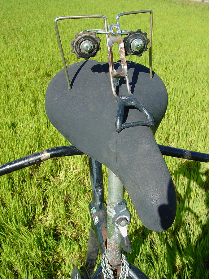 Bicycle Sculpture - Mr Murry of Lawrenceburg Tn by Steve Mudge