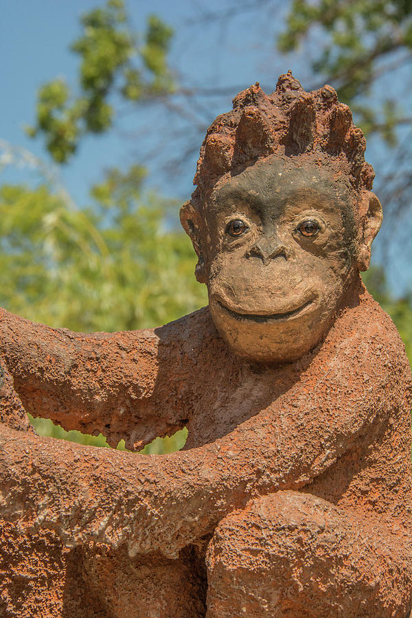 Mr Orangutan Photograph by Pamela Williams