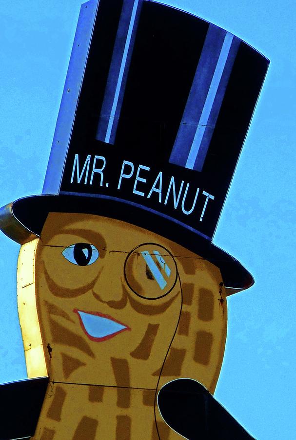 Mr Peanut 2 Photograph by Ron Kandt
