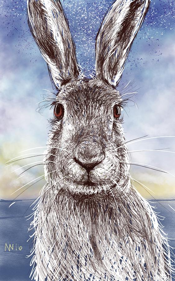Mr. Rabbit Digital Art by AnneMarie Welsh