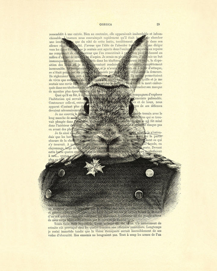 Wildlife Digital Art - Rabbit portrait in a suit by Madame Memento